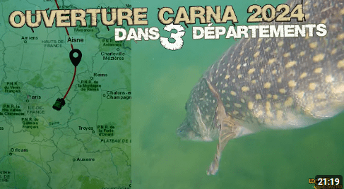 Ouverture carnassier 2024 dans trois départements